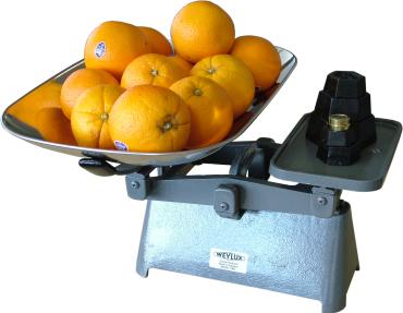 Weylux 70NT Heavy Duty Balance Catering Scales