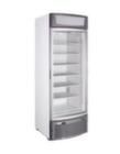 Upright Display Freezer