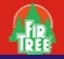 Fir Tree