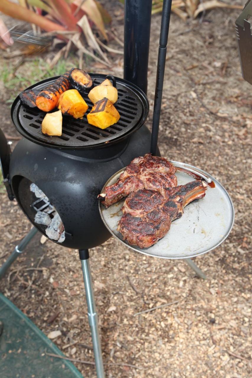 OZPIG HEATER/BBQ OZPG1 Commercial BBQ