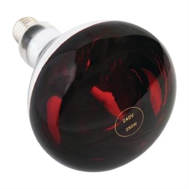 Oxford Hardware AG570 250W Heat Lamp Bulb Red ES