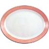 V3129 Steelite Rio Pink Oval Coupe Dishes 280mm