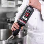 Sammic B-30 396mm Variable Speed Commercial Whisk Blender