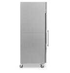 Blizzard BF2SSCR Double Glass Door GN Freezer – 1300L