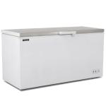 Blizzard 650-Litre Chest Freezer Stainless Steel - CF650SS