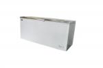 Blizzard 650-Litre Chest Freezer Stainless Steel- CF650SS