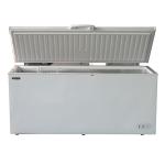 Blizzard 650-Litre Chest Freezer White - CF650WH