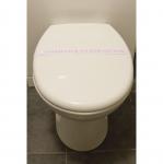 CG862 Sanitary Hygiene Toilet Strips - Pack of 250
