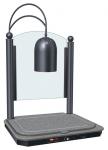 Hatco DCSB400-2420-1  Decorative Carving Station