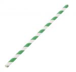 Fiesta Green DE928 Compostable Paper Straws Green Stripes (Pack of 250)