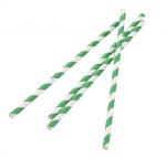 Fiesta Green DE928 Compostable Paper Straws Green Stripes (Pack of 250)