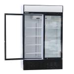 Blizzard GD630 Commercial 630ltr Double Glass Door Merchandiser - Hinged