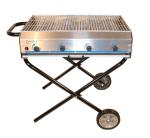Fir Tree Zenith 4 Stainless Steel Foldable Propane Gas Barbecue - 4 Burners